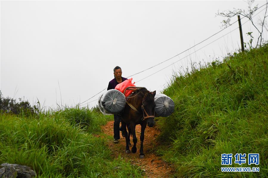 (新华全媒头条·图文互动)(4)一个人,一座山——刘真茂的生命守望