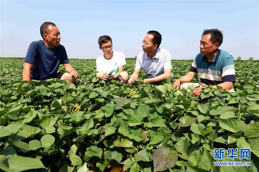 （教育）（1）村里来了&ldquo;专家团&rdquo;