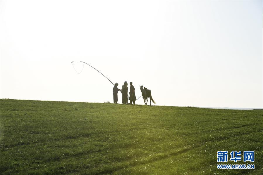 （美丽中国）（5）锡林郭勒草原夏日美景