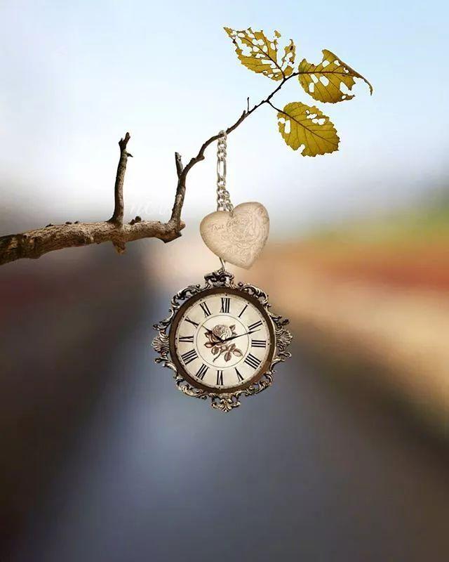 夜读丨决定你上限的，不是智商，而是自律