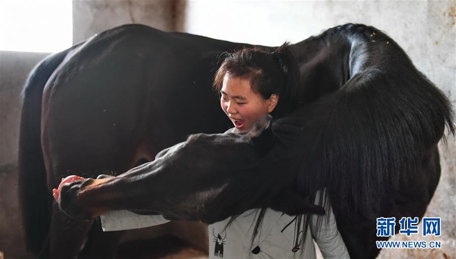 （图片故事）（9）奔跑吧！马背上的乡村少年