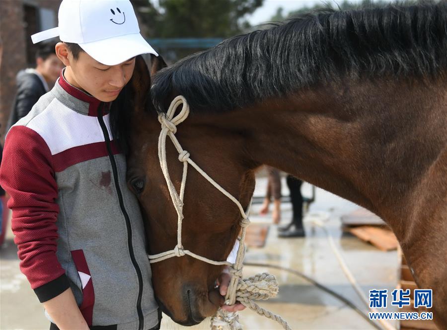 （图片故事）（12）奔跑吧！马背上的乡村少年