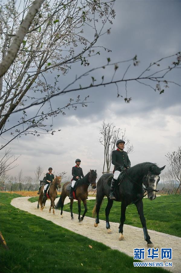 （图片故事）（14）奔跑吧！马背上的乡村少年