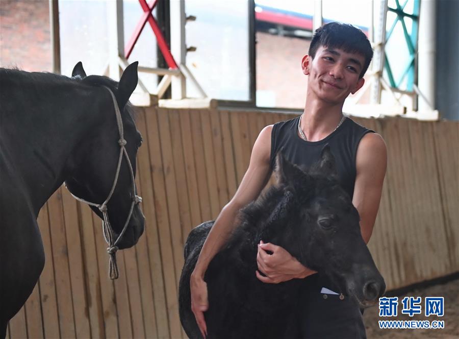 （图片故事）（15）奔跑吧！马背上的乡村少年