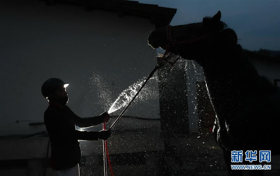 （图片故事）（20）奔跑吧！马背上的乡村少年