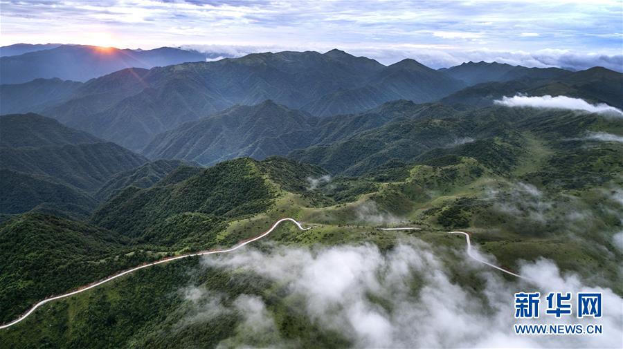 （美丽中国）（1）正阳草甸：在青山幽谷间享受清凉世界