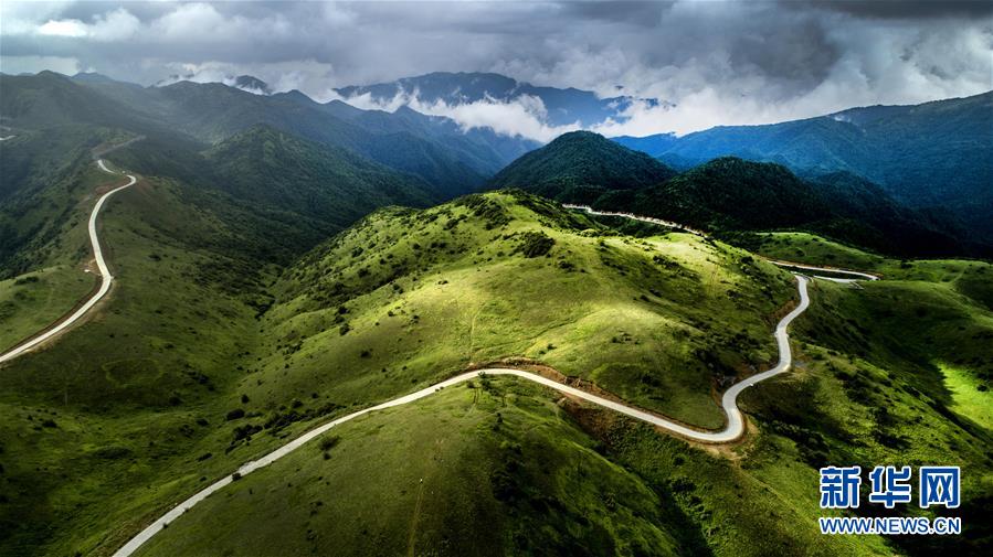 （美丽中国）（2）正阳草甸：在青山幽谷间享受清凉世界
