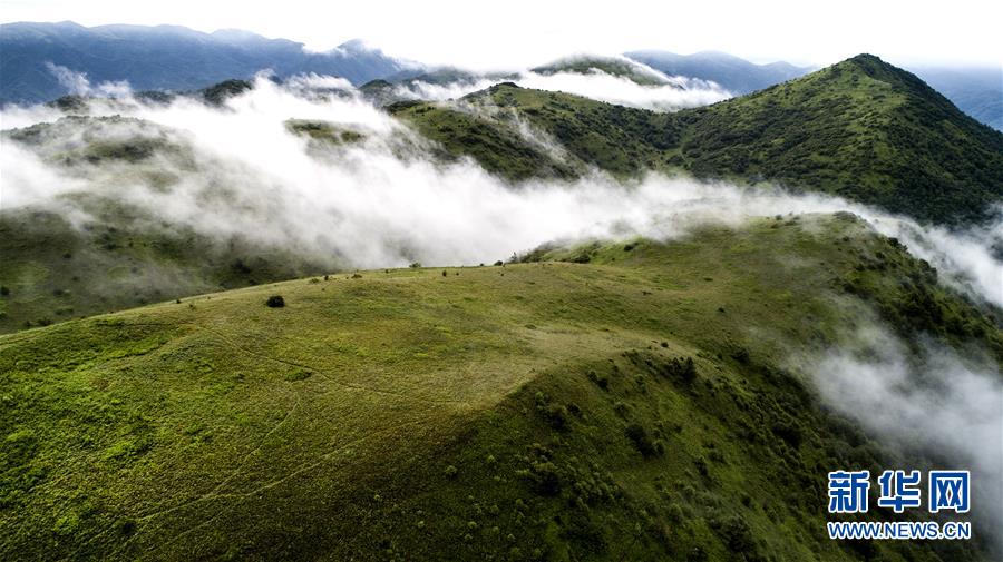 （美丽中国）（3）正阳草甸：在青山幽谷间享受清凉世界