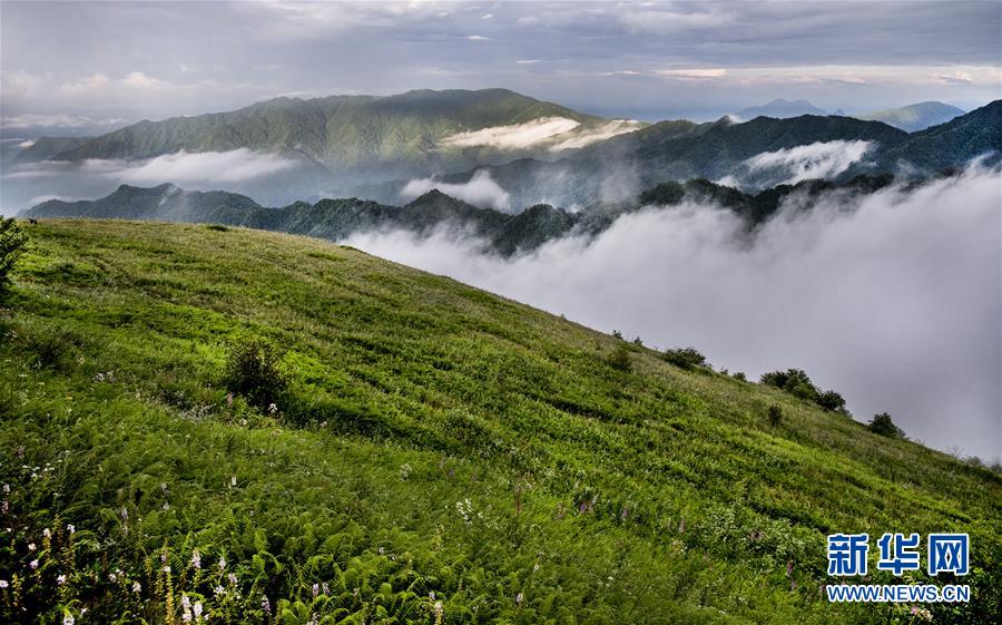 （美丽中国）（4）正阳草甸：在青山幽谷间享受清凉世界