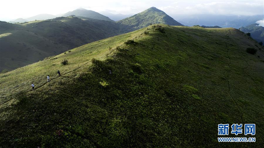 （美丽中国）（7）正阳草甸：在青山幽谷间享受清凉世界
