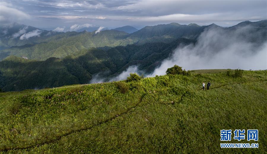 （美丽中国）（8）正阳草甸：在青山幽谷间享受清凉世界