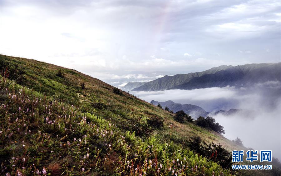 （美丽中国）（9）正阳草甸：在青山幽谷间享受清凉世界