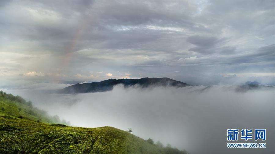 （美丽中国）（10）正阳草甸：在青山幽谷间享受清凉世界
