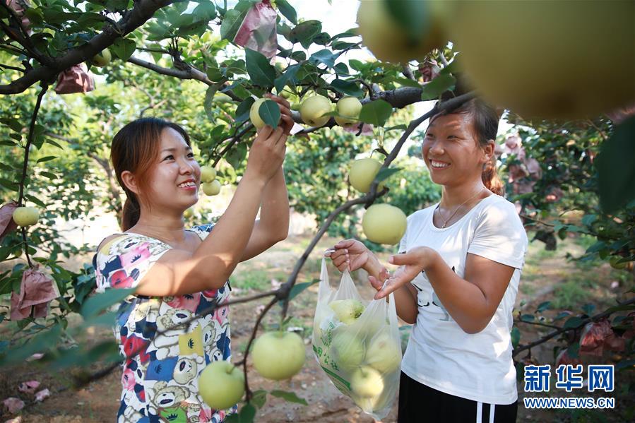 （经济）（2）河北内丘大力发展全域旅游
