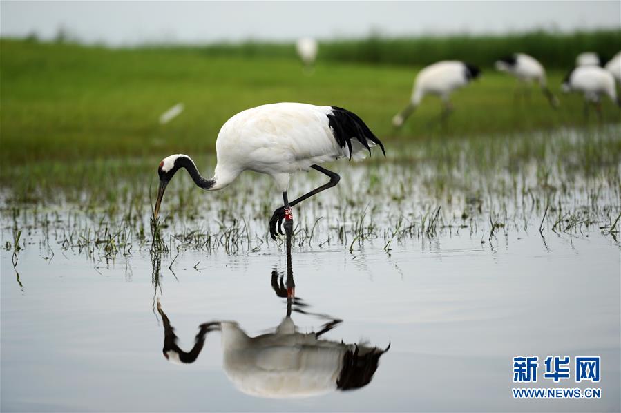 （镜观中国&middot;新华网）（5）新华社国内照片一周精选
