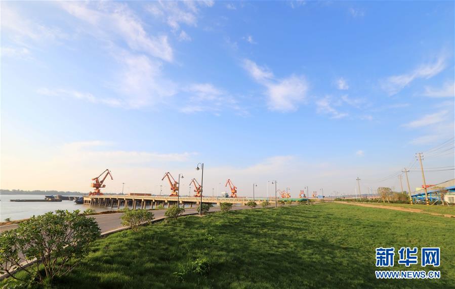 (大江奔流——来自长江经济带的报道·图文互动)(3)为了“一岸翠绿”——江西九江生态修复百里长江