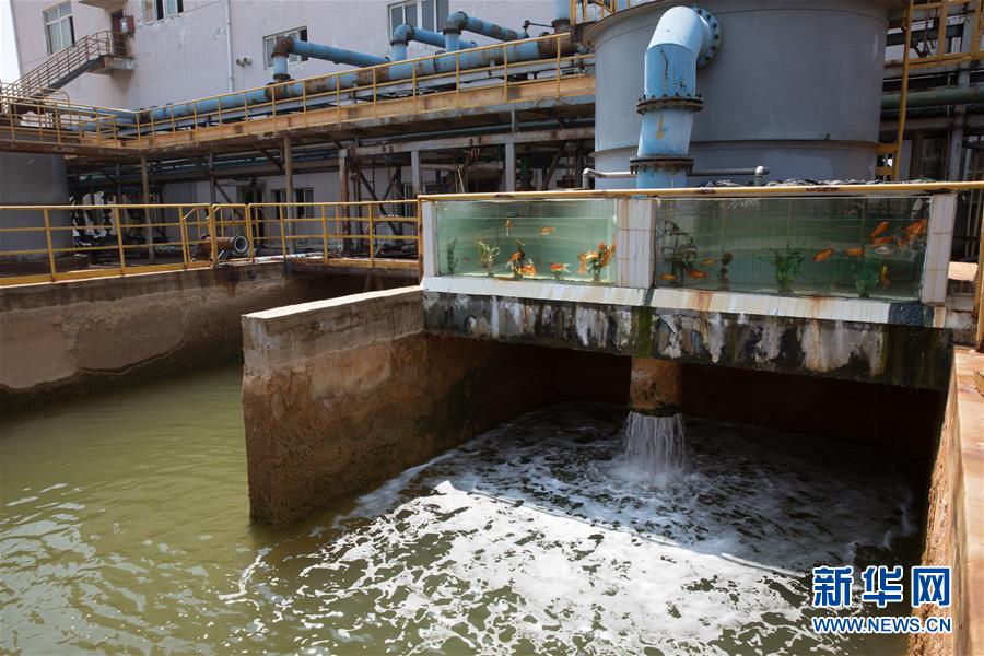 （经济）（7）安徽：绿色发展的沿江企业