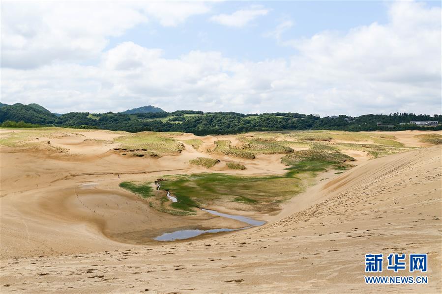 （国际）（2）鸟取治沙：最后的一平方公里沙丘