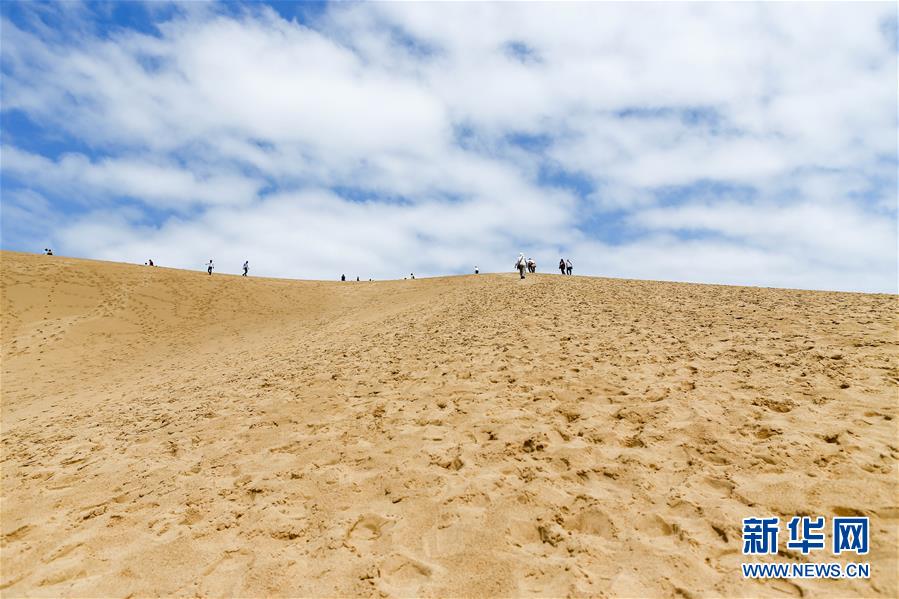 （国际）（3）鸟取治沙：最后的一平方公里沙丘
