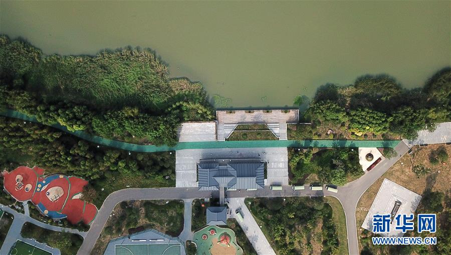 （社会）（2）古运河边的三湾湿地公园