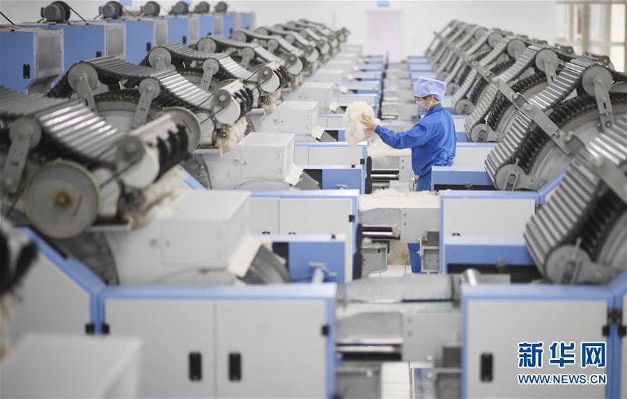 （宁夏60年&middot;图文互动）（1）羊毛里的&ldquo;淘金&rdquo;致富路  