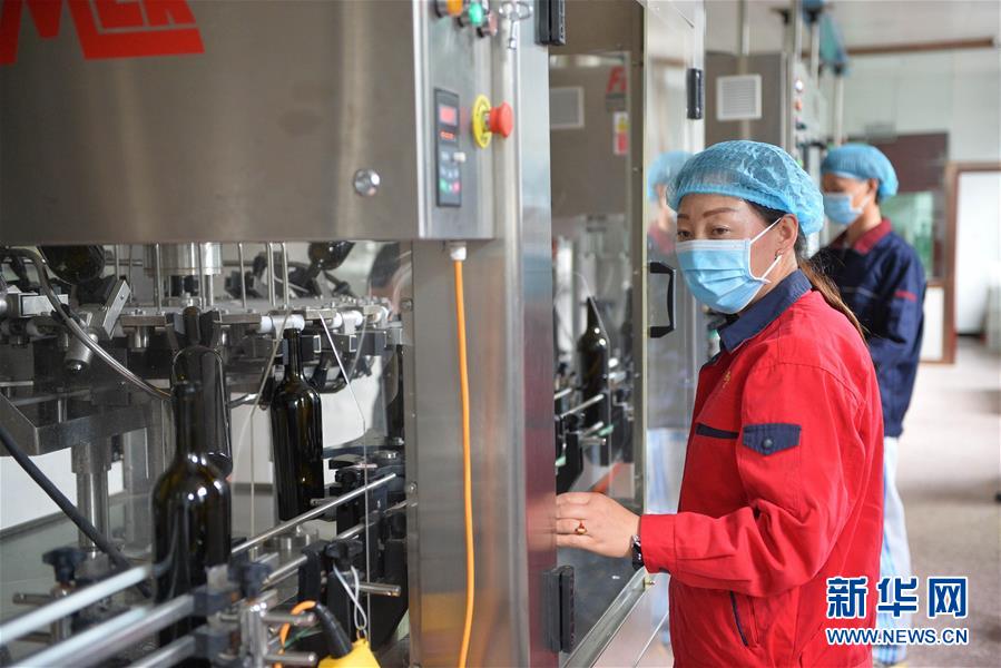 （宁夏60年）（4）葡萄酒产业富民增收