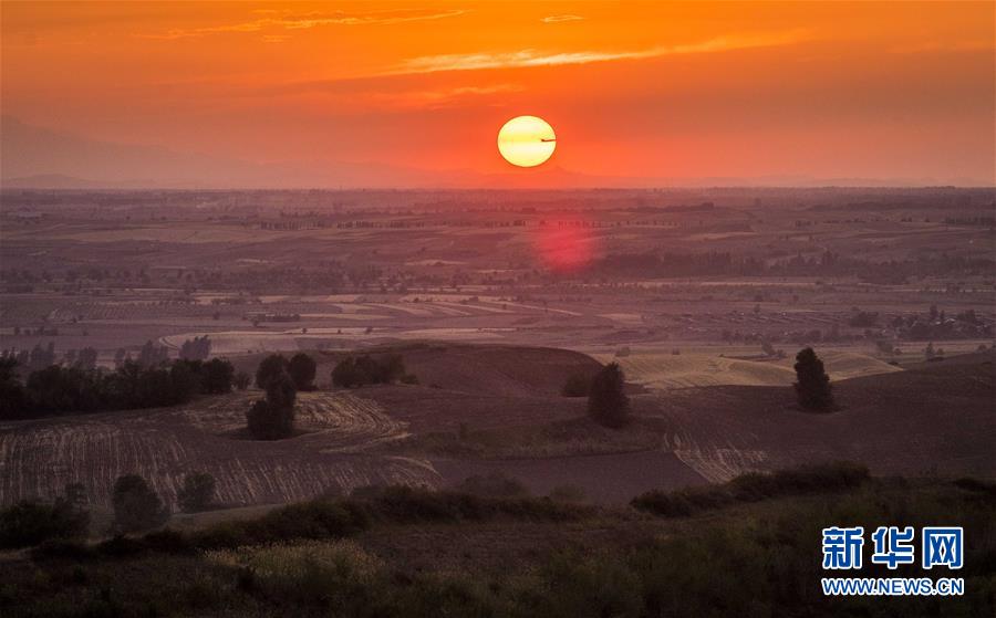 (图文互动)(1)艺术家进村 新疆古老村庄焕发新颜