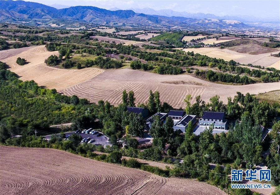 (图文互动)(2)艺术家进村 新疆古老村庄焕发新颜