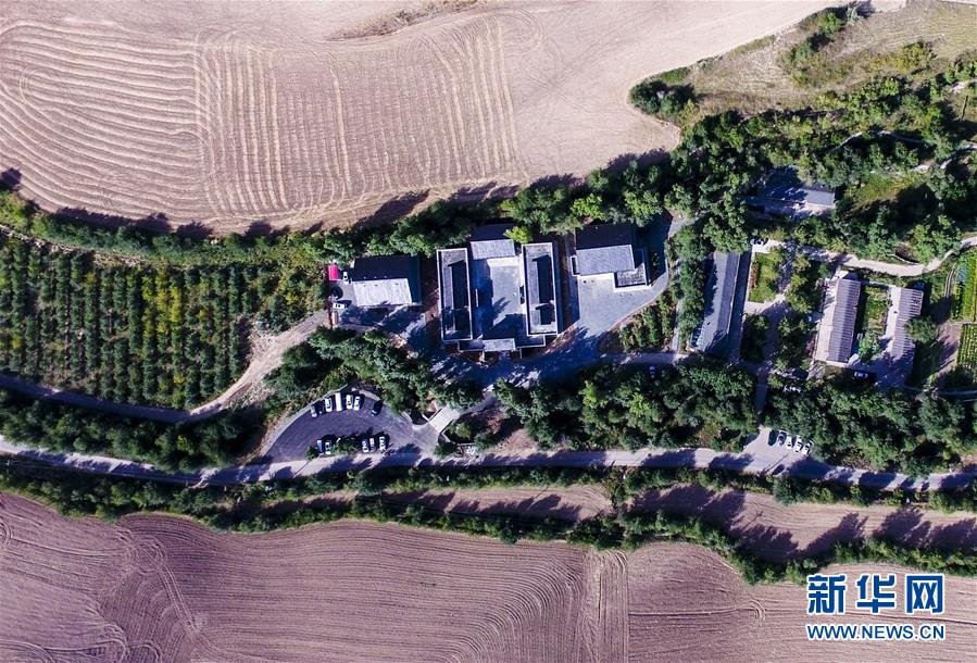 (图文互动)(5)艺术家进村 新疆古老村庄焕发新颜