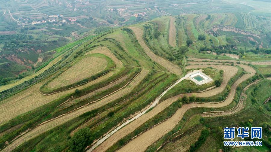 （宁夏60年）（3）宁夏固原：牡丹籽油润旱塬