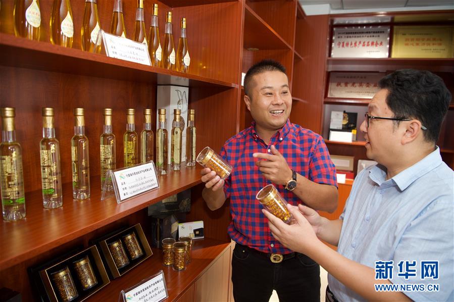 （宁夏60年）（8）宁夏固原：牡丹籽油润旱塬