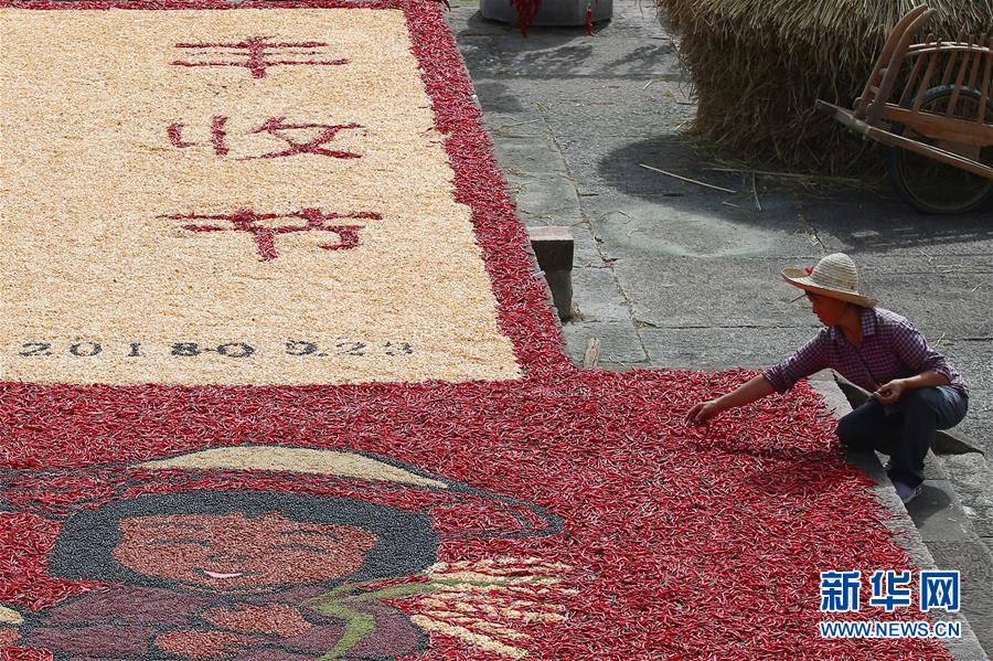 #（新华视界）（4）安徽黄山：古村晒秋乐丰收