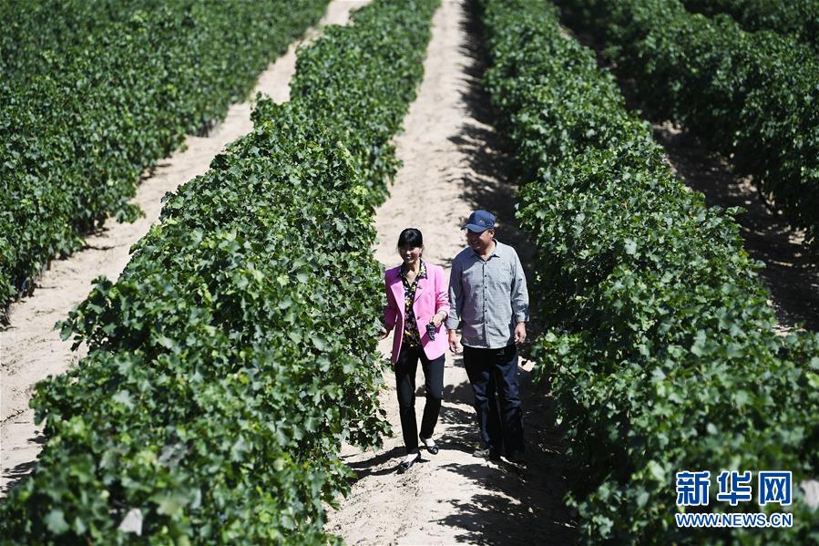（宁夏60年）（6）宁夏红寺堡：生态移民的绿色新生