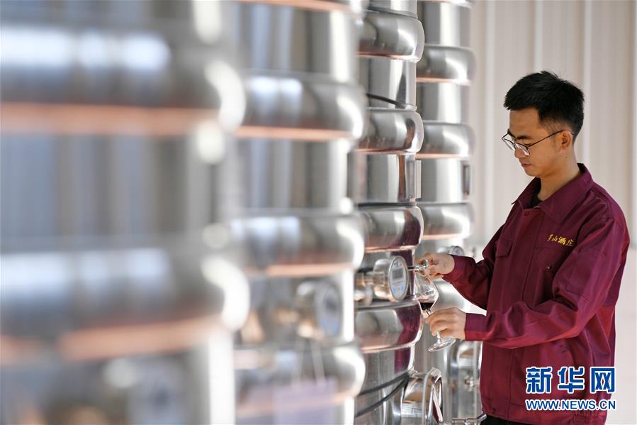 （宁夏60年）（7）宁夏红寺堡：生态移民的绿色新生