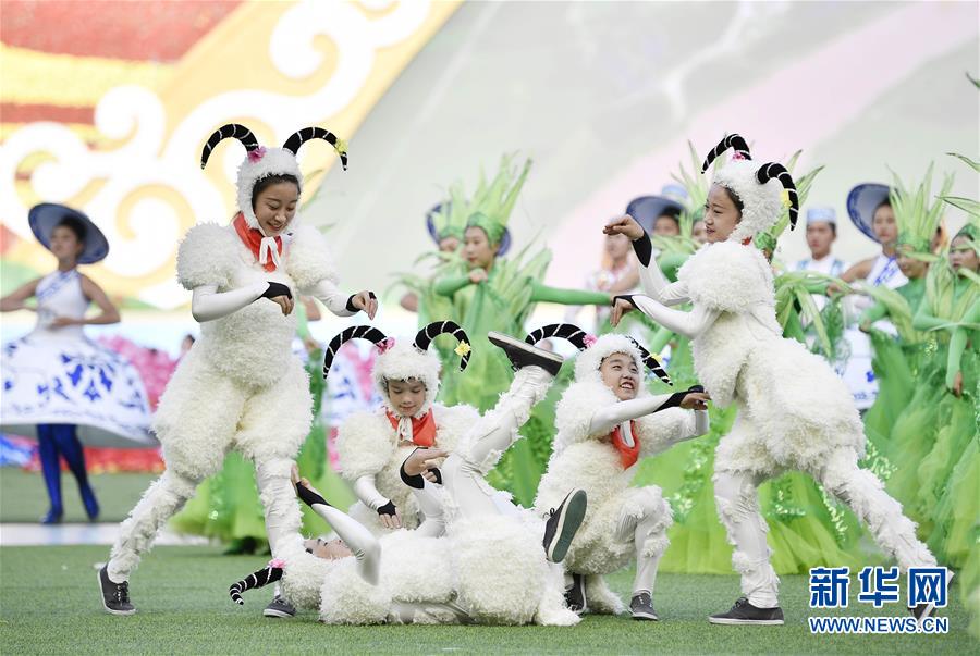 （时政）（11）宁夏各族各界隆重庆祝自治区成立60周年