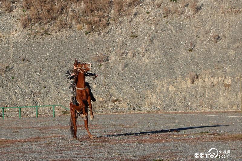  　　王鑫和他无言的&ldquo;战友&rdquo;军马（王小英/摄）
