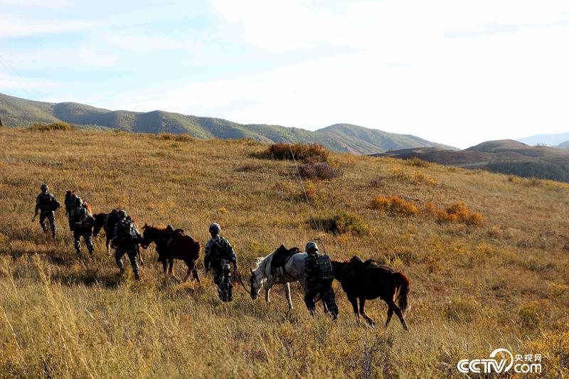 　　相比大雪封山，秋季巡逻的条件好太多了王小英/摄