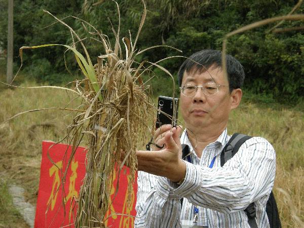 農民豐收節：農作物中的中華文化“密碼”