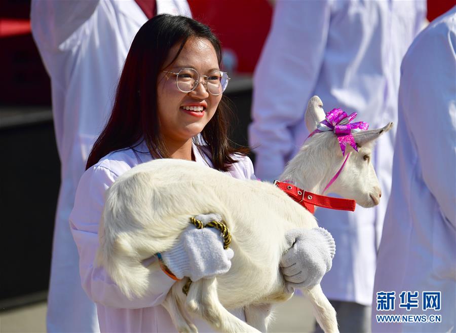 （新華全媒頭條·圖文互動）（6）最年輕的節日 最悠久的牽念——寫給首個中國農民豐收節
