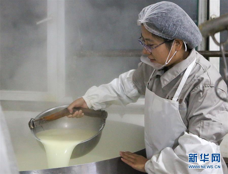 （图文互动）（2）返乡创业女大学生卜睿：做好豆腐　产业致富