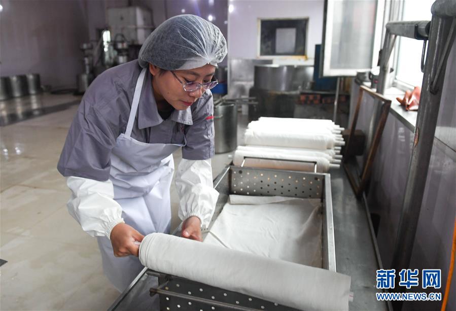 （图文互动）（4）返乡创业女大学生卜睿：做好豆腐　产业致富