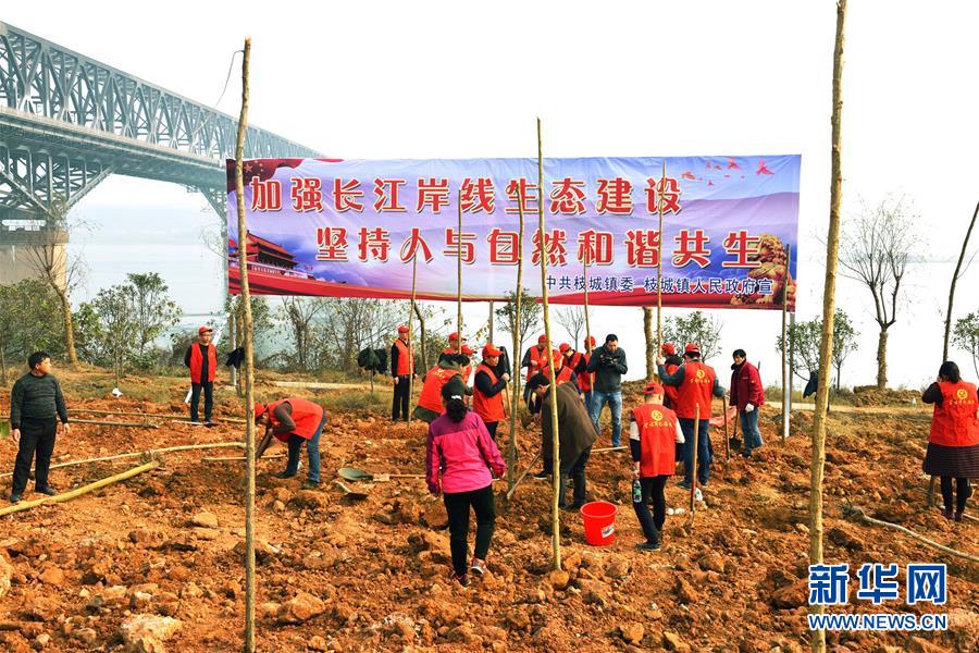 (在习近平新时代中国特色社会主义思想指引下——新时代新作为新篇章·图文互动)(2)湖北枝城镇:片区党建助推乡村全面振兴