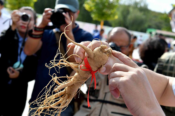 【文体艺苑】葡萄牙数百年沉船中发现明朝瓷器(图4)