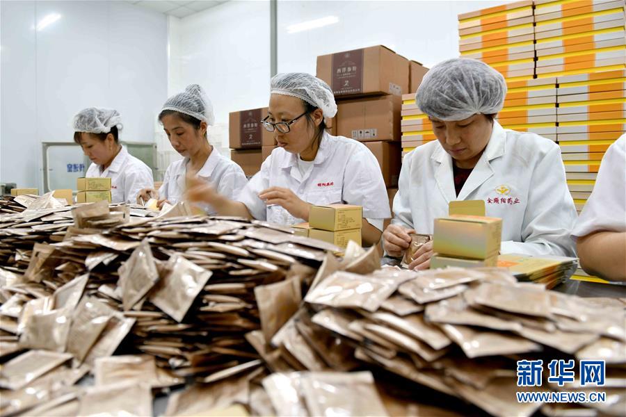 （社会）（2）山东文登：春播八粒种 秋收百亿参 