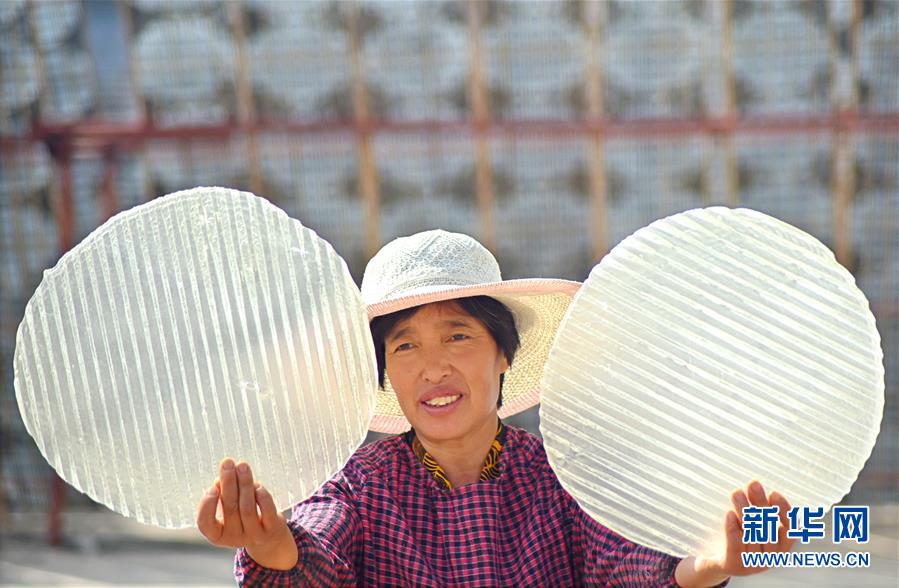 #（经济）（1）山东沂源：手工粉皮 金秋飘香