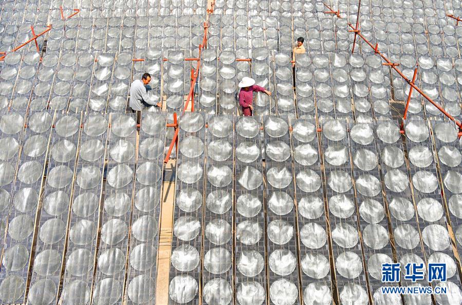 #（经济）（3）山东沂源：手工粉皮 金秋飘香