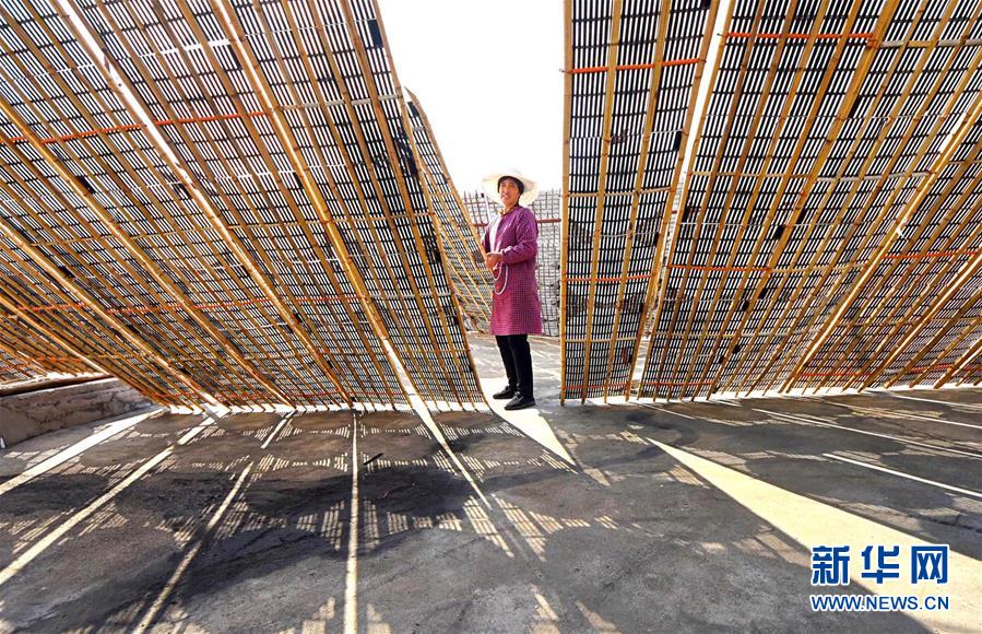 #（经济）（4）山东沂源：手工粉皮 金秋飘香