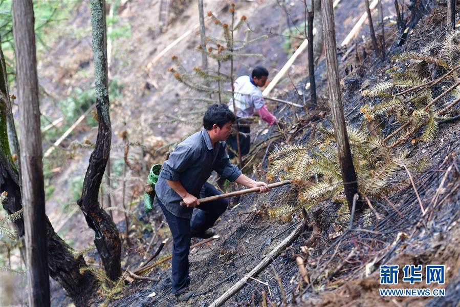 （社会）（2）苗山脱贫影像志&mdash;&mdash;乌英苗寨：荒山结出脱贫果