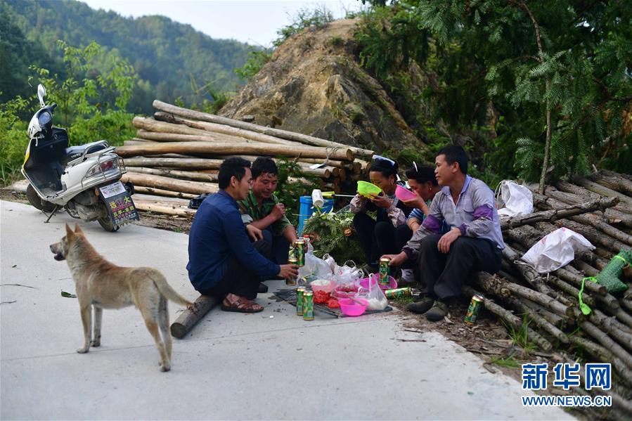 （社会）（4）苗山脱贫影像志&mdash;&mdash;乌英苗寨：荒山结出脱贫果