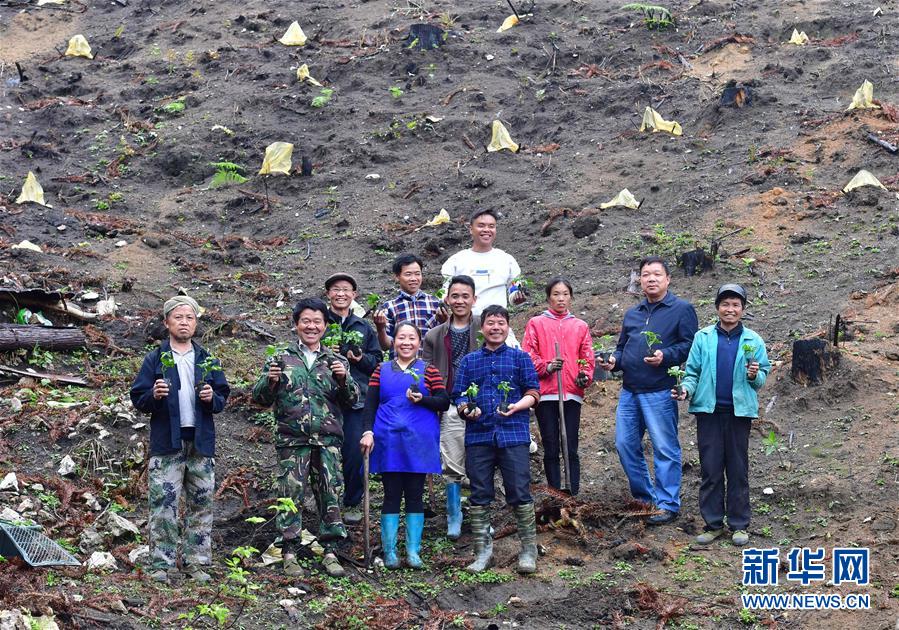 （社会）（6）苗山脱贫影像志&mdash;&mdash;乌英苗寨：荒山结出脱贫果